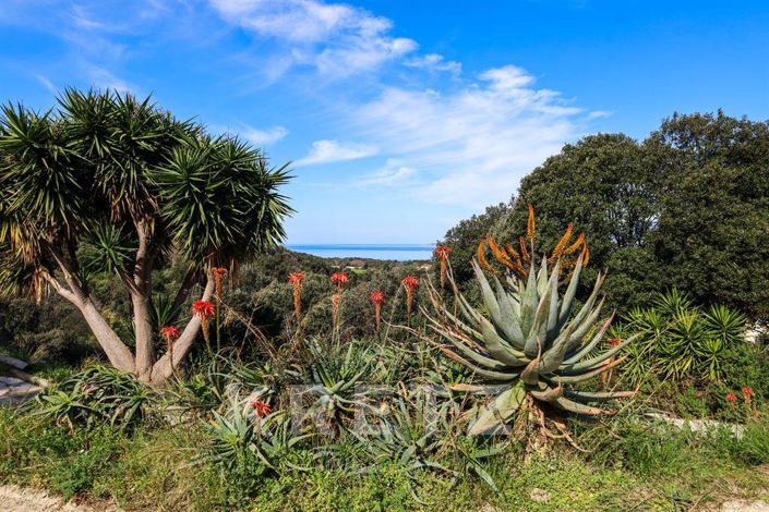 Image No.16-Maison de 10 chambres à vendre à Calcatoggio