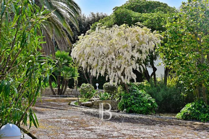 Image No.4-Maison de 7 chambres à vendre à Pietrosella