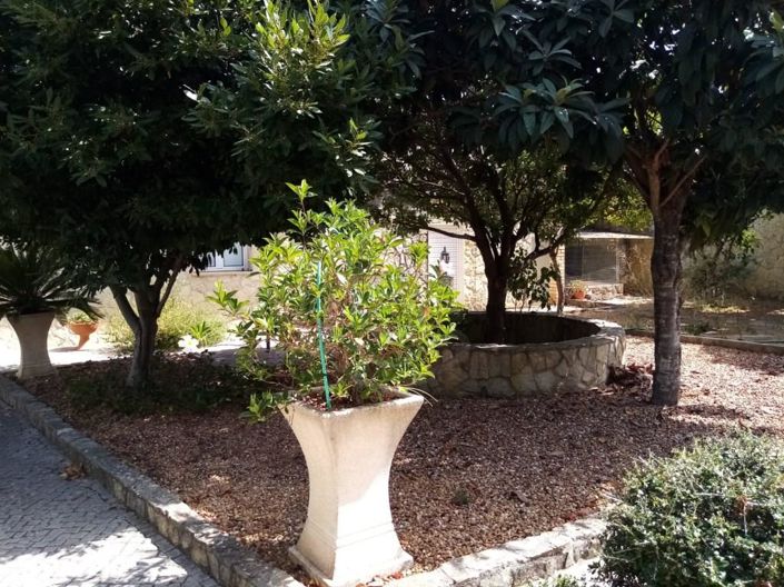 Image No.38-Maison de 2 chambres à vendre à Loule