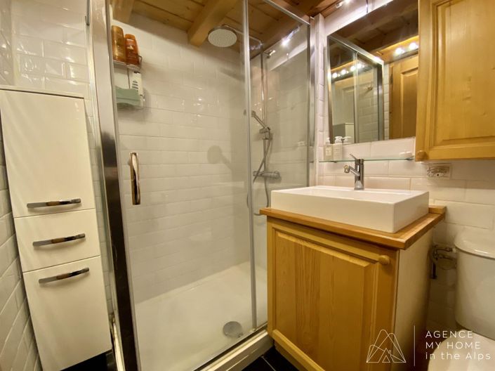 Image No.18-Maison de 3 chambres à vendre à Haute-Savoie