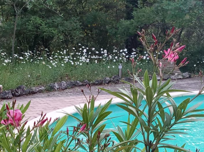 Image No.4-Maison à vendre à Bargemon