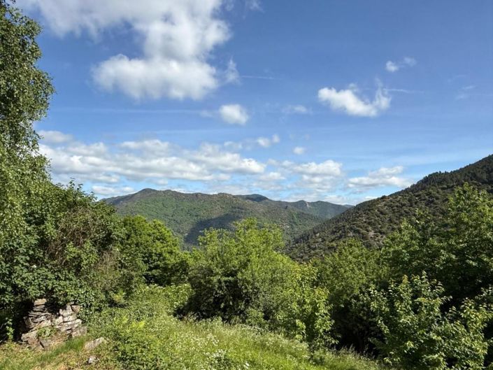 Image No.4-Maison de 4 chambres à vendre à Malons-et-Elze