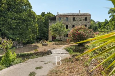 1 - Saint-Florent, Maison