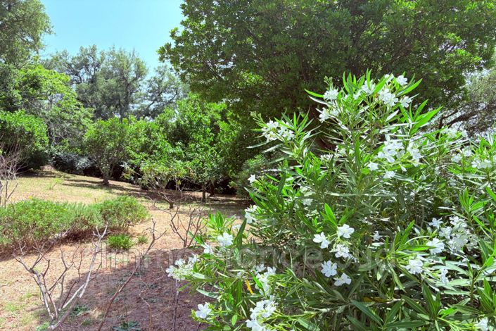 Image No.9-4 Bed House for sale