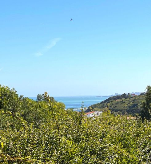 Image No.2-3 Bed Apartment for sale