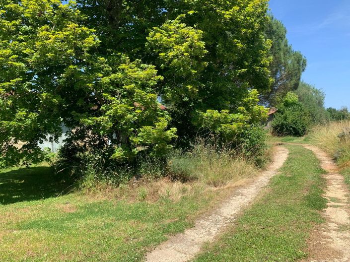 Image No.5-3 Bed House for sale