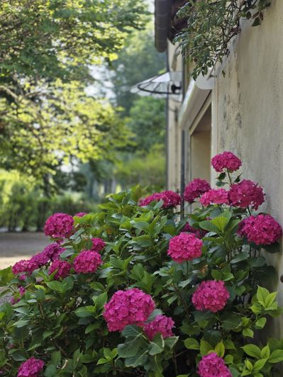 Image No.4-Maison de 5 chambres à vendre à Mézin