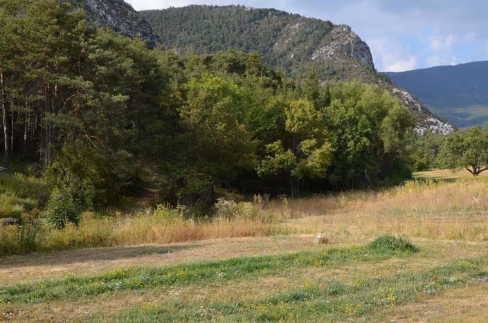 Image No.20-2 Bed House for sale