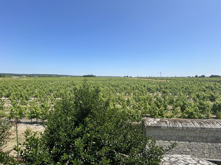 Image No.15-Maison de 5 chambres à vendre à Restigné