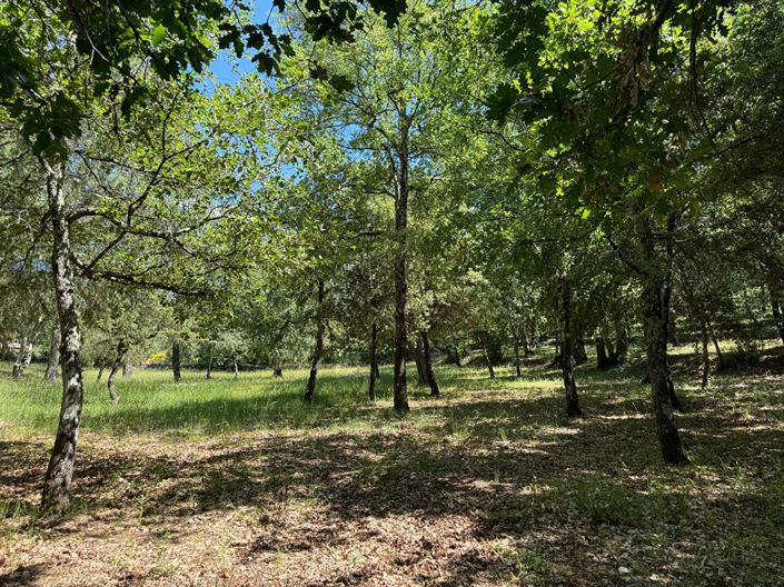 Image No.18-3 Bed House for sale