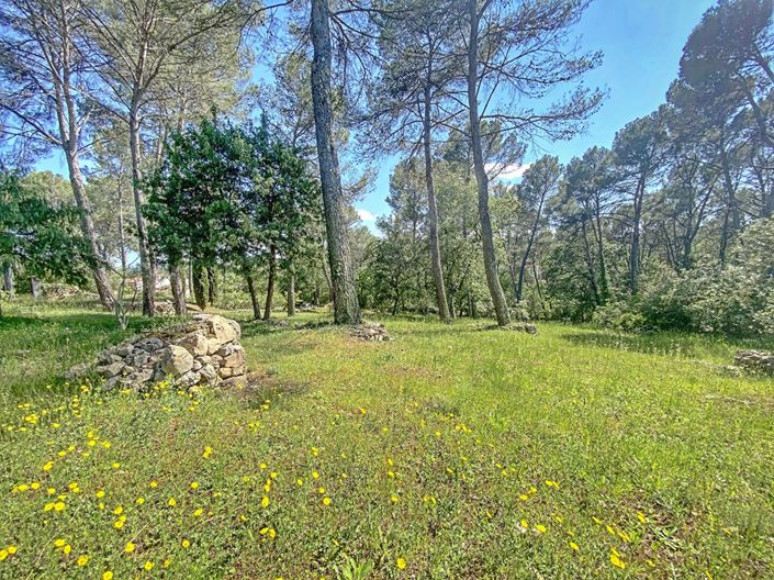 Image No.5-3 Bed House for sale