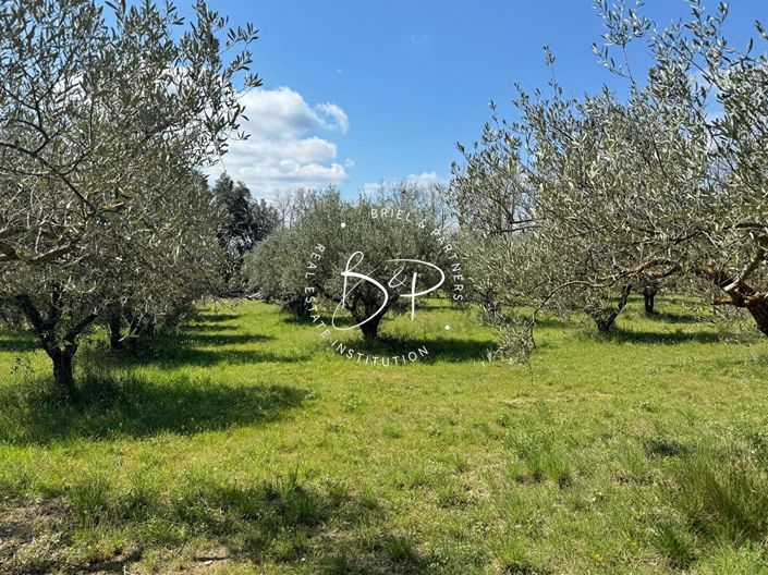Image No.13-Maison de 3 chambres à vendre à Villecroze