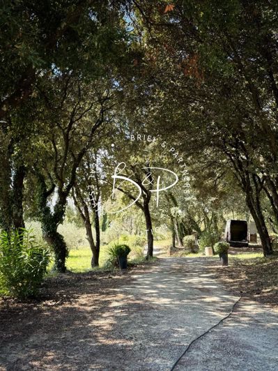 Image No.16-Maison de 3 chambres à vendre à Villecroze