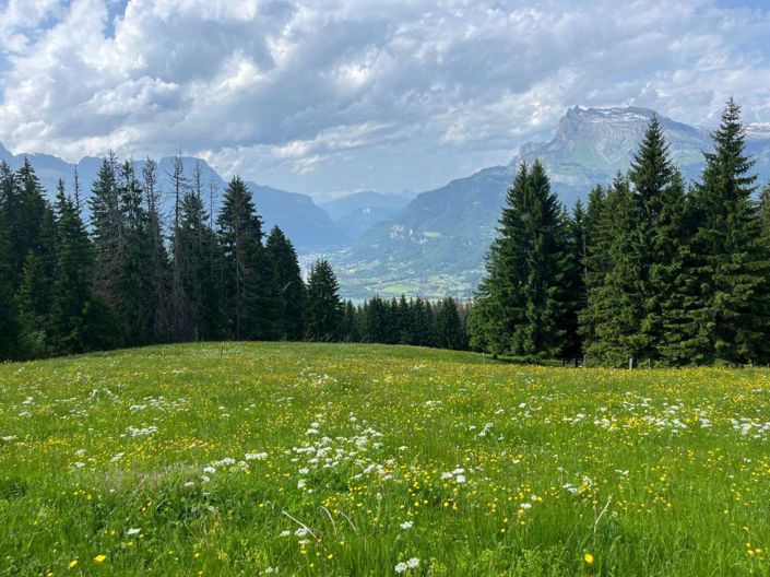 Image No.6-4 Bed Property for sale