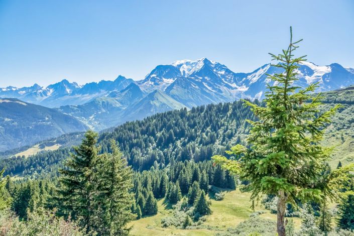 Image No.5-11 Bed House for sale