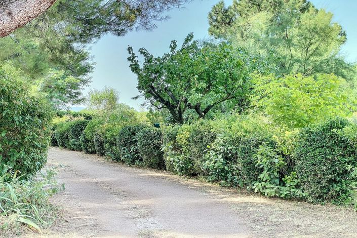 Image No.7-House for sale