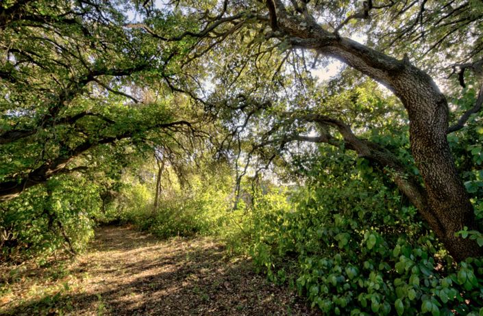 Image No.18-Maison de 2 chambres à vendre à Sommières