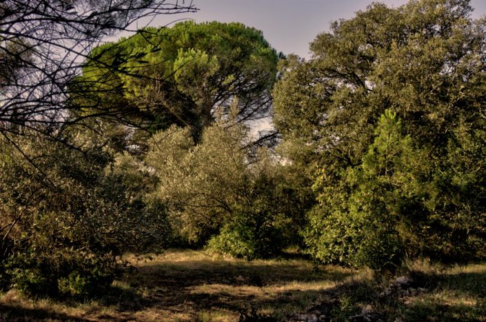 Image No.19-Maison de 2 chambres à vendre à Sommières
