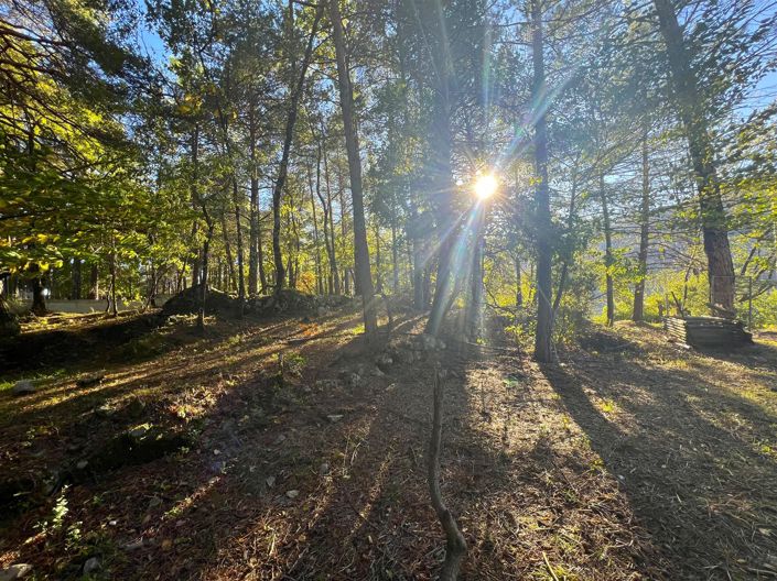 Image No.7-Maison de 1 chambre à vendre à Sospel