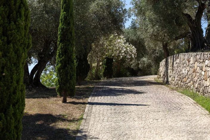 Image No.11-6 Bed House for sale