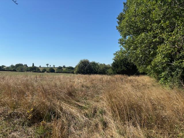 Image No.32-Maison de 6 chambres à vendre à Lédergues