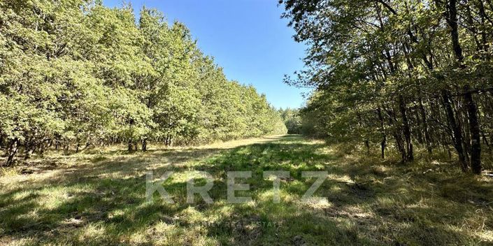 Image No.17-Maison de 7 chambres à vendre à Romorantin-Lanthenay