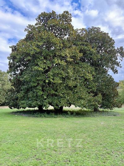 Image No.18-6 Bed House for sale