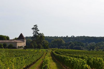 Maison à vendre à Gensac