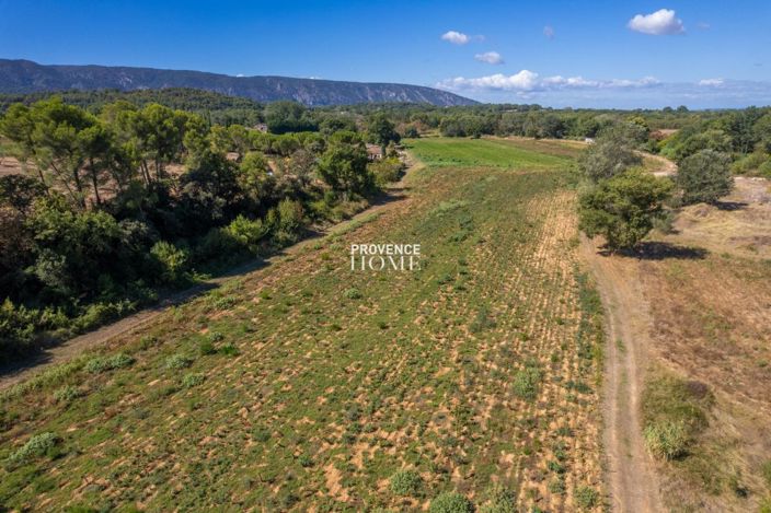 Image No.12-4 Bed House for sale