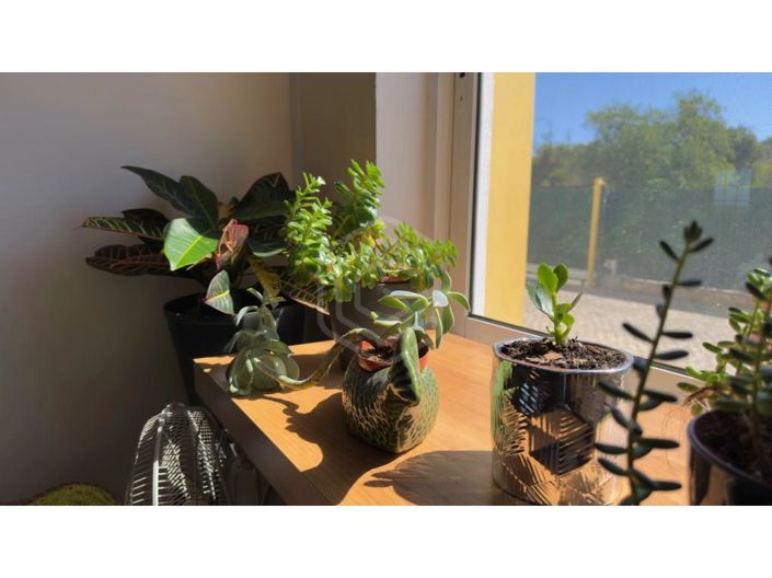 Image No.15-2 Bed House for sale