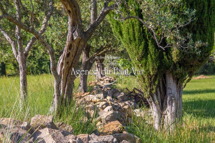 Image No.13-Maison de 3 chambres à vendre à Fayence