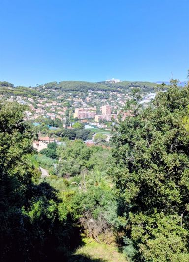 Image No.9-Maison à vendre à Vallauris