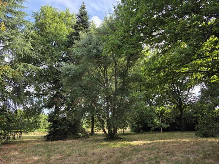 Image No.24-4 Bed House for sale