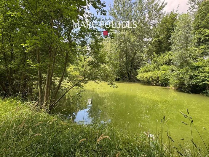 Image No.8-5 Bed House for sale