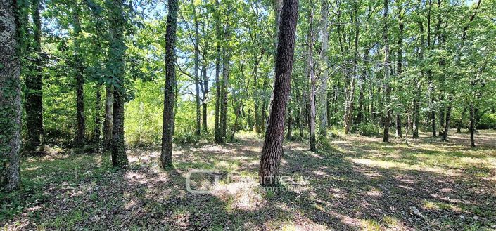 Image No.2-6 Bed House for sale