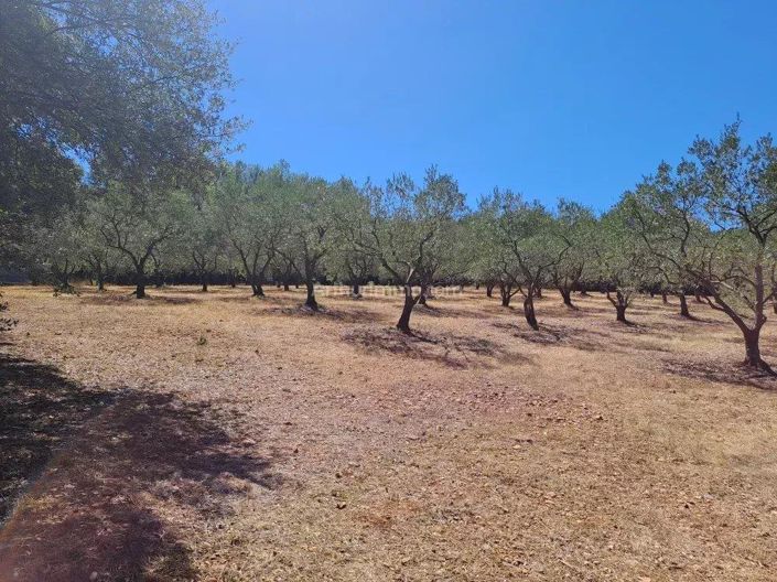 Image No.6-House for sale