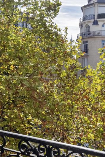 Image No.23-Appartement de 6 chambres à vendre à Paris