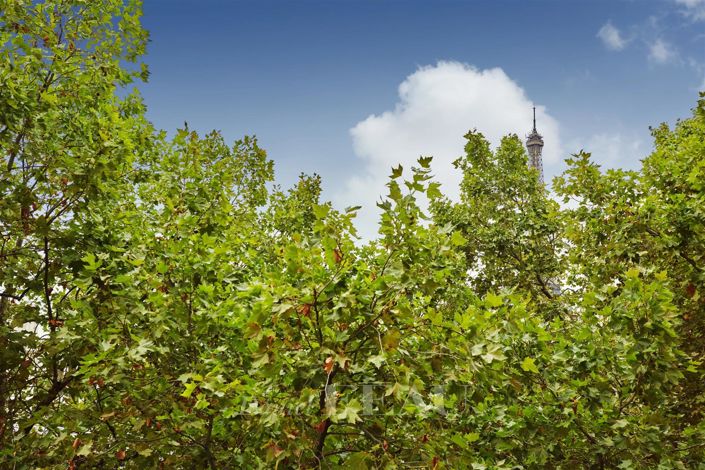 Image No.11-4 Bed Apartment for sale