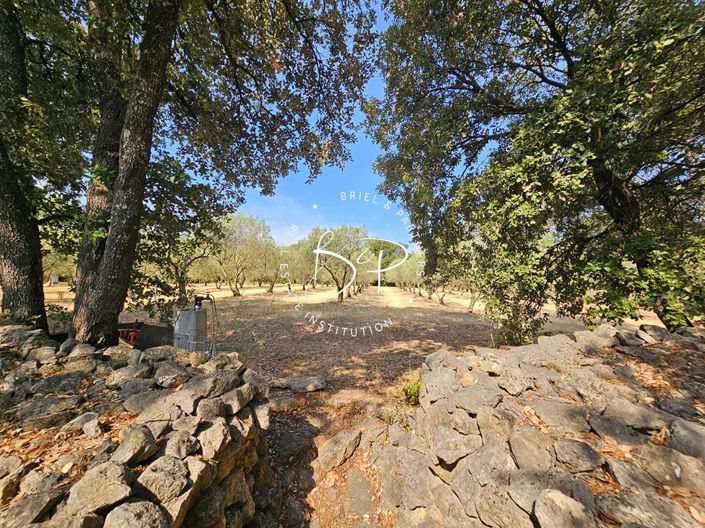 Image No.4-1 Bed House for sale