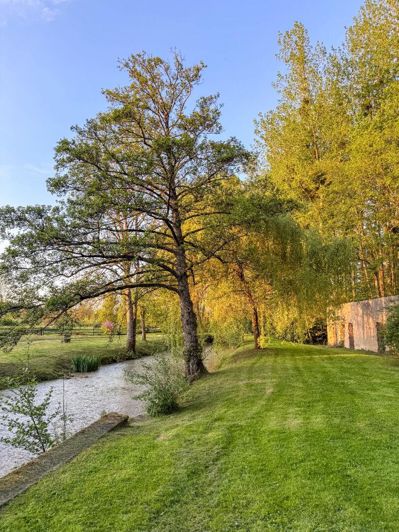 Image No.17-Propriété de 7 chambres à vendre à Sancerre