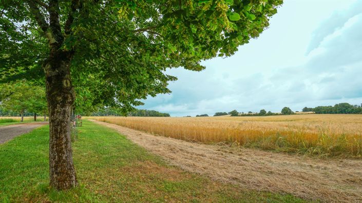 Image No.12-Maison de 6 chambres à vendre à Montaigu-de-Quercy