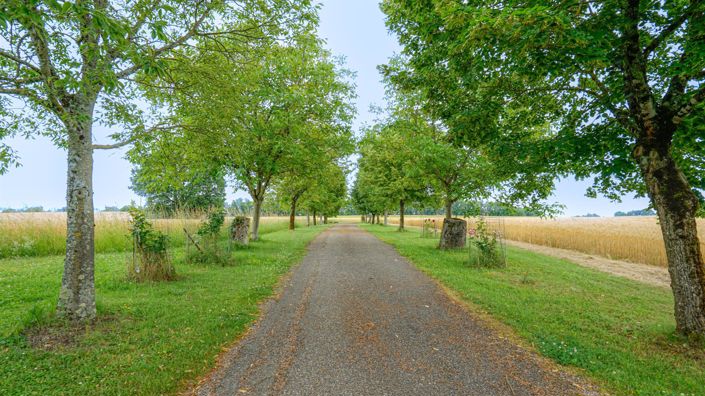 Image No.2-Maison de 6 chambres à vendre à Montaigu-de-Quercy