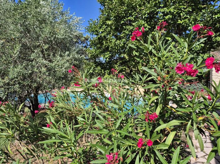 Image No.20-5 Bed House for sale