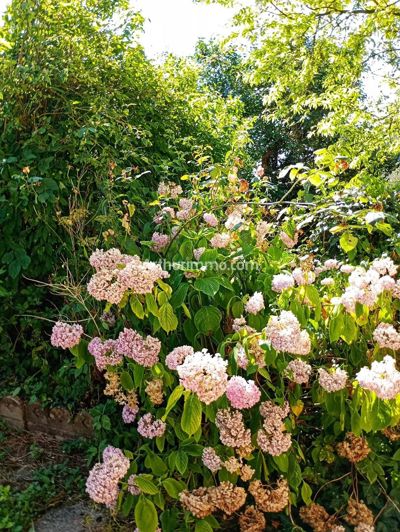 Image No.5-House for sale