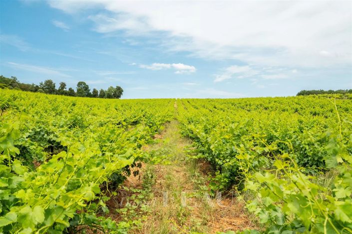 Image No.4-7 Bed House for sale