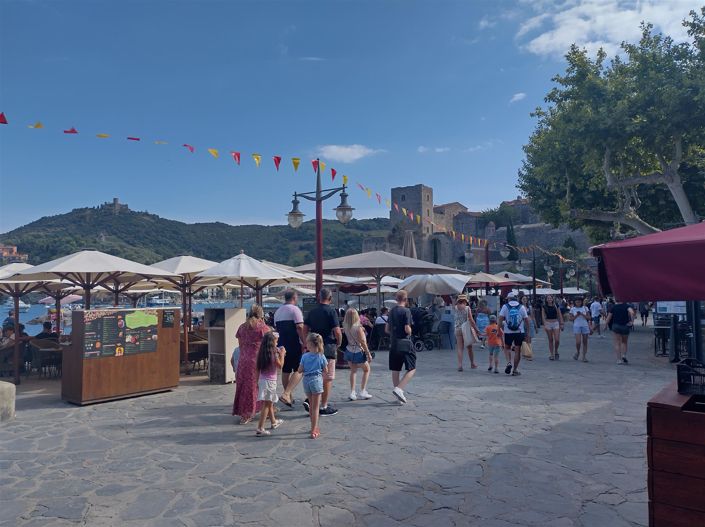 Image No.17-Appartement à vendre à Collioure