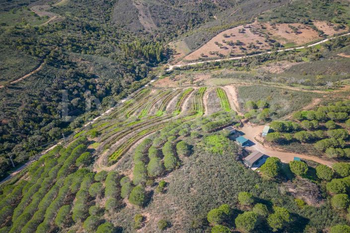 Image No.48-3 Bed House for sale