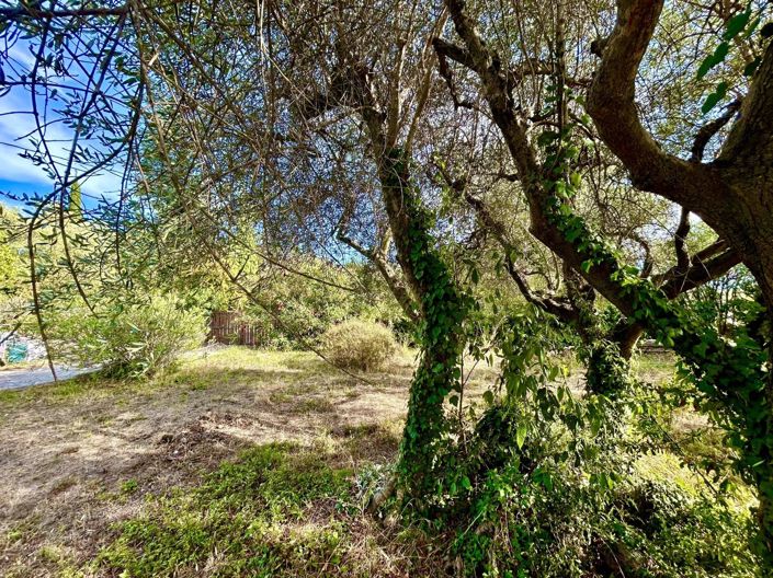 Image No.3-Maison à vendre à Montauroux