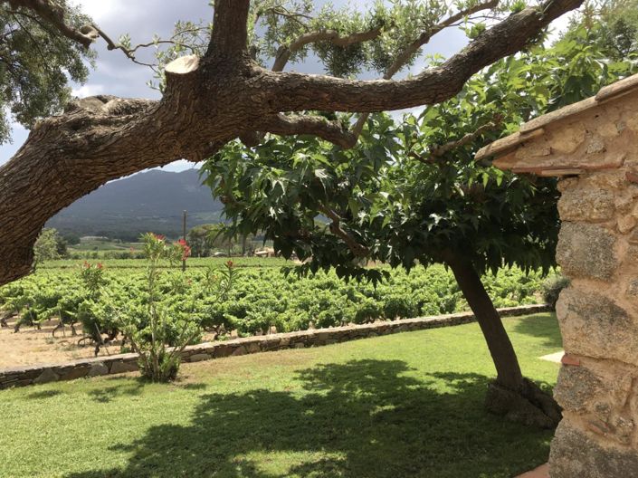 Image No.11-Maison de 3 chambres à vendre à Le Plan-de-la-Tour