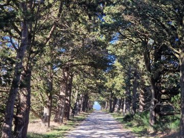 1 - Carcassonne, House